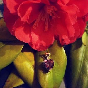 Vintage Genuine 10k Amethyst charm